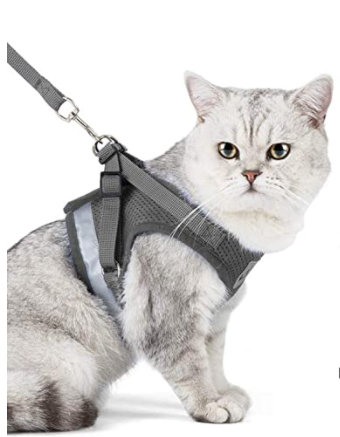 Skanto | Adventure Set - Safe Harness for Adventurous Cats