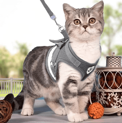 BowLift | ADVENTURE HARNESS – Escape-proof cat harness with leash & reflective elements