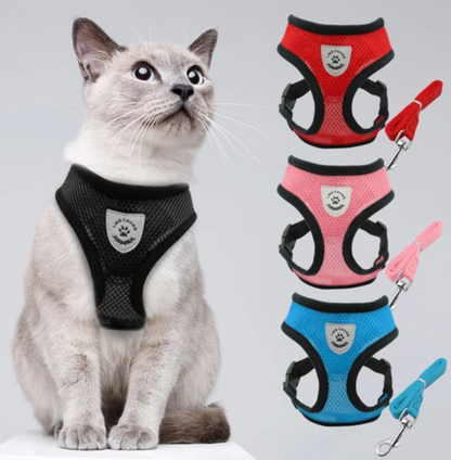Skanto | Adventure Set - Safe Harness for Adventurous Cats