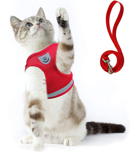 Skanto | Adventure Set - Safe Harness for Adventurous Cats