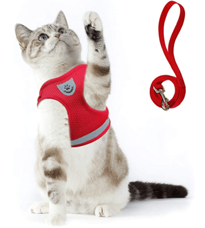 Kalsten | ADVENTURE HARNESS – Escape-proof cat harness with leash & reflective elements