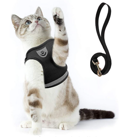 Skanto | Adventure Set - Safe Harness for Adventurous Cats
