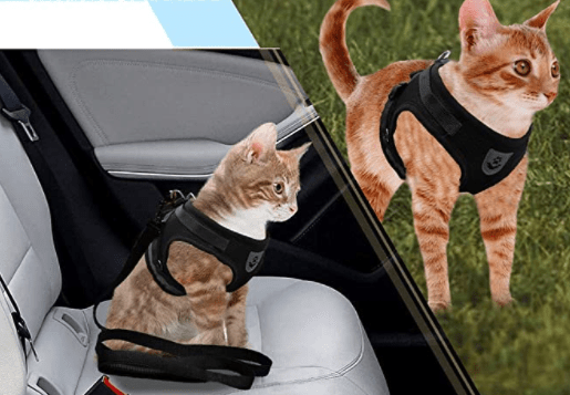 Kalsten | Escape-proof cat harness with reflective details