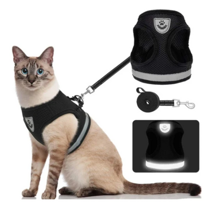 Skanto | Adventure Set - Safe Harness for Adventurous Cats