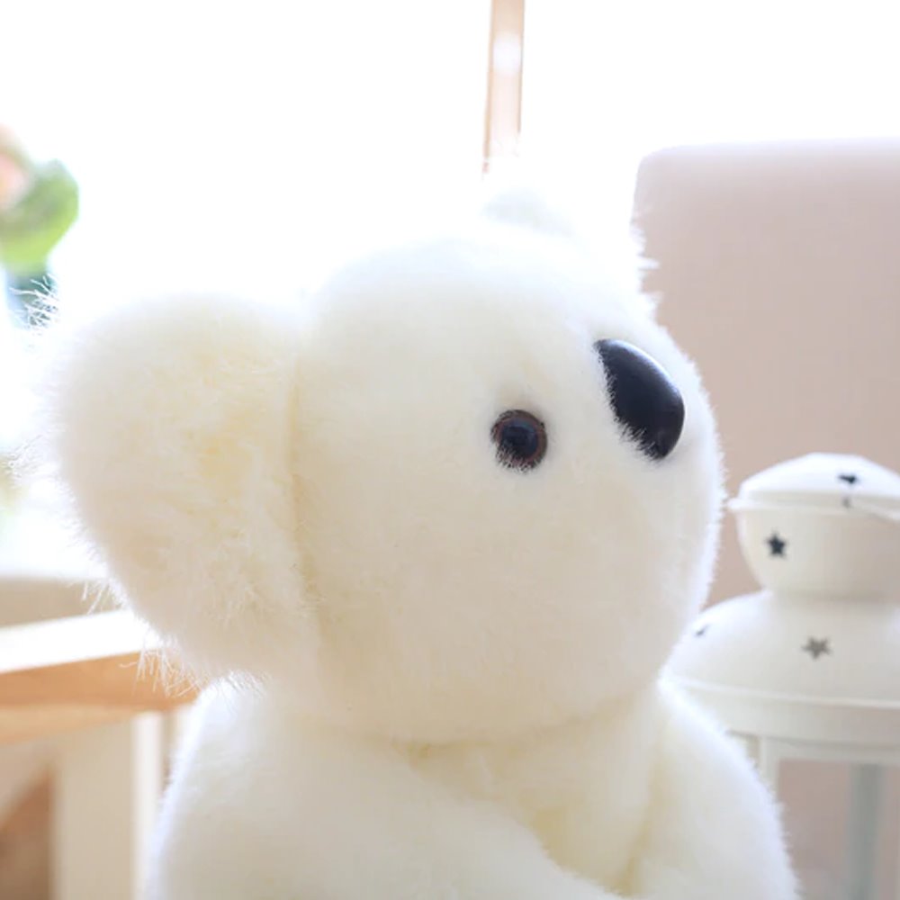 Skanto | Koala Bear Family