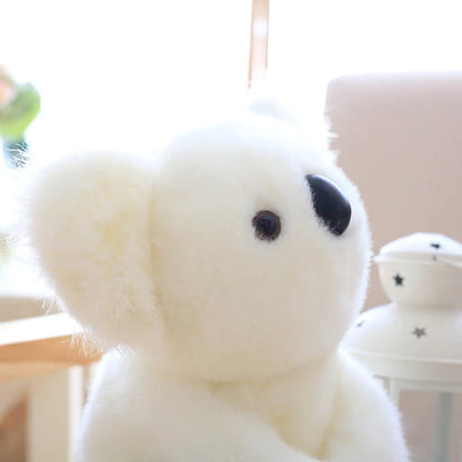 Skanto | Koala Bear Family
