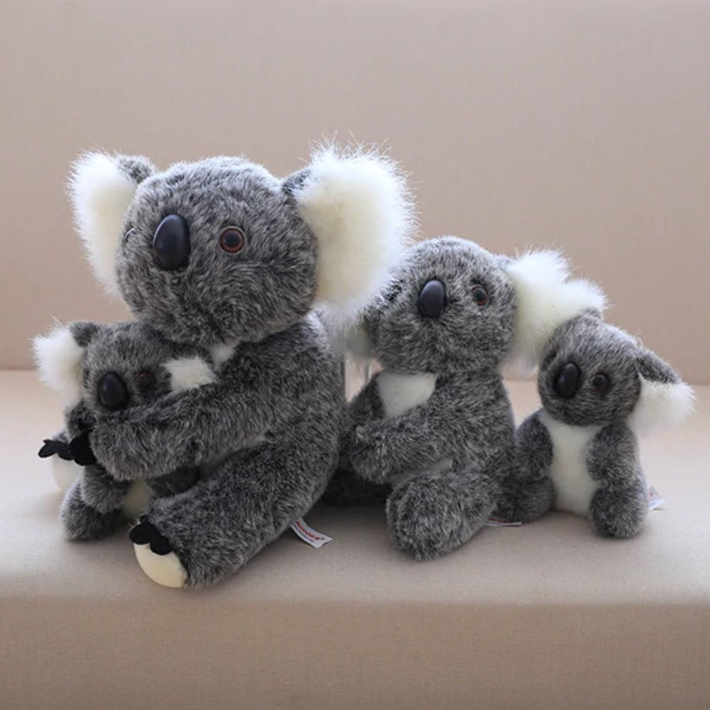 Skanto | Koala Bear Family