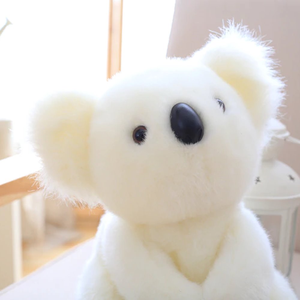 Skanto | Koala Bear Family