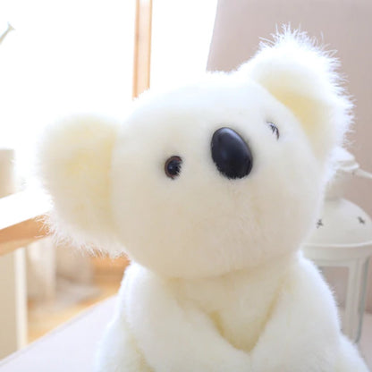 Skanto | Koala Bear Family