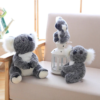 Skanto | Koala Bear Family