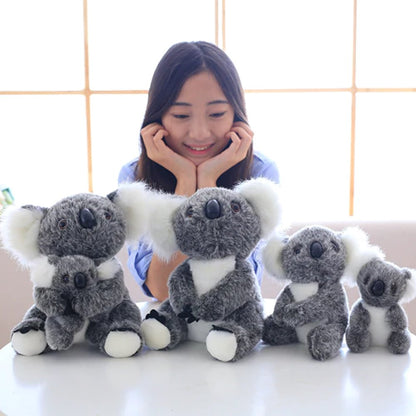 Skanto | Koala Bear Family