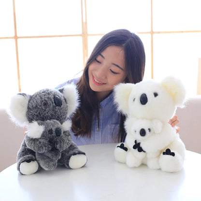 Skanto | Koala Bear Family