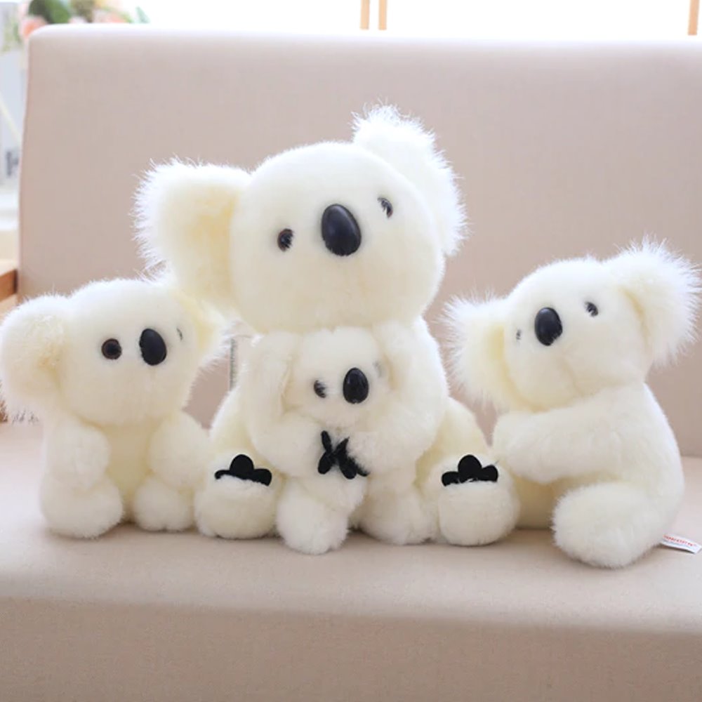 Skanto | Koala Bear Family
