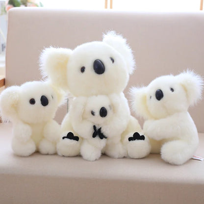 Skanto | Koala Bear Family