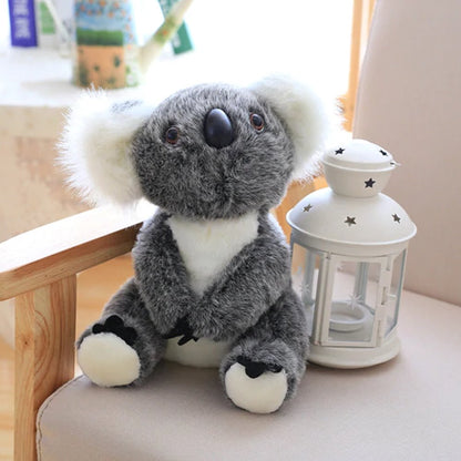 Skanto | Koala Bear Family