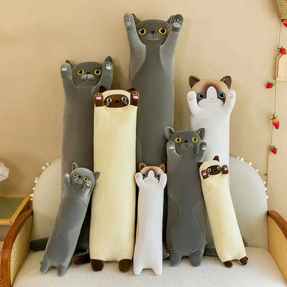 BowLift | Long Snuggly Cat Siamese British Shorthair Snowshoe Plushies Collection
