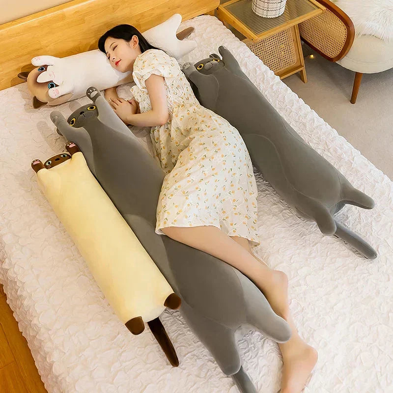 BowLift | Long Snuggly Cat Siamese British Shorthair Snowshoe Plushies Collection