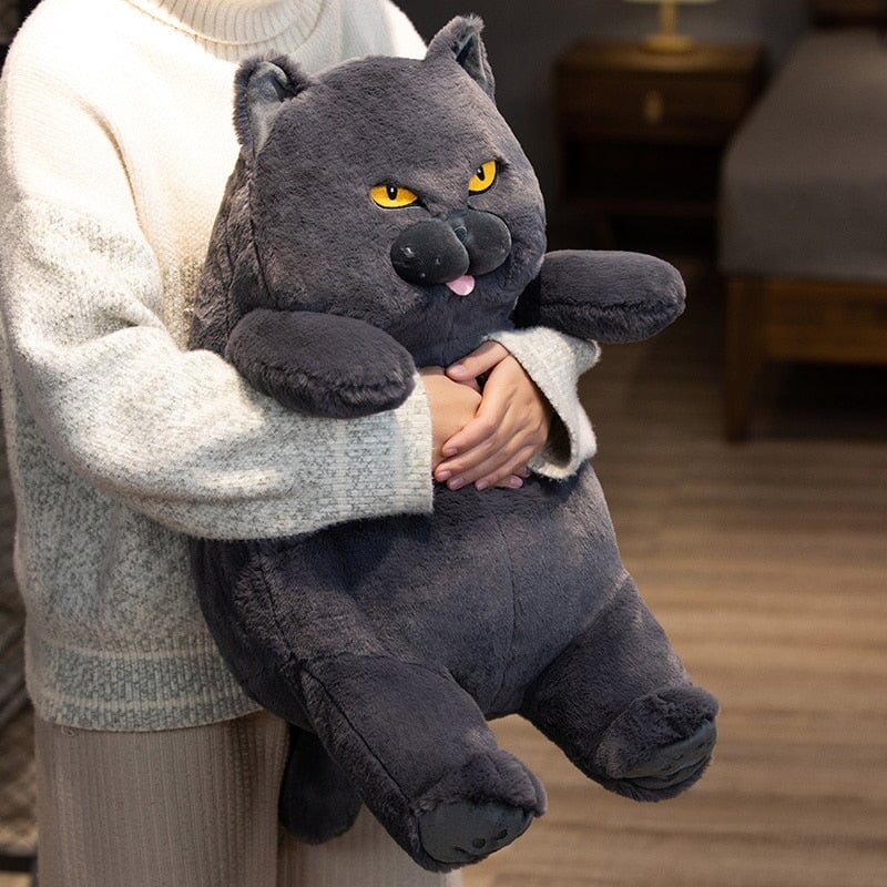 BowLift | Poe the Grumpy Cat Plushie