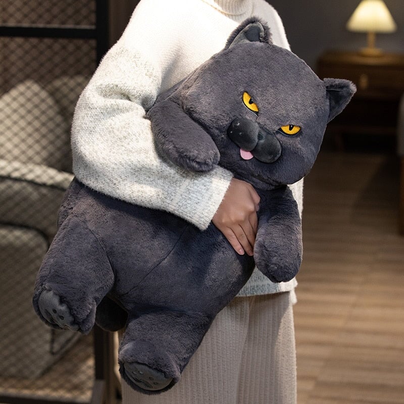 BowLift | Poe the Grumpy Cat Plushie