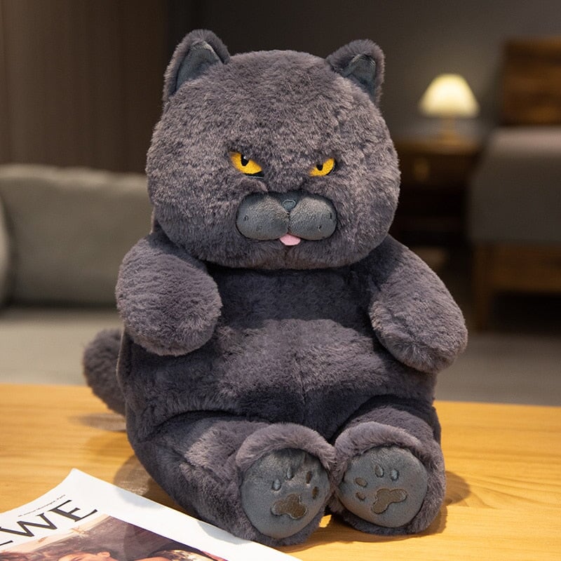 BowLift | Poe the Grumpy Cat Plushie