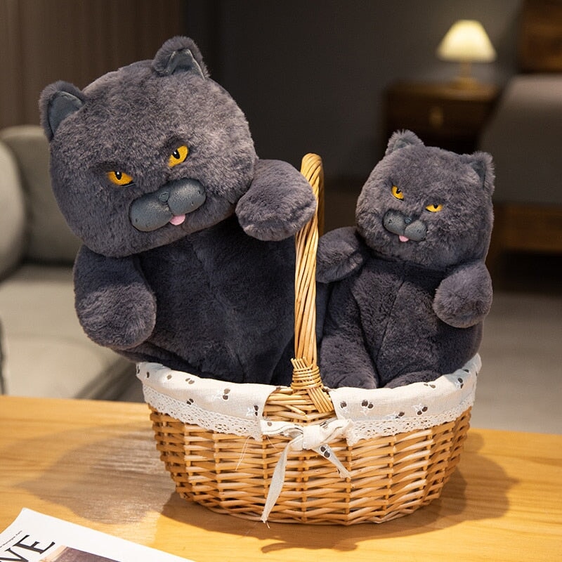 BowLift | Poe the Grumpy Cat Plushie