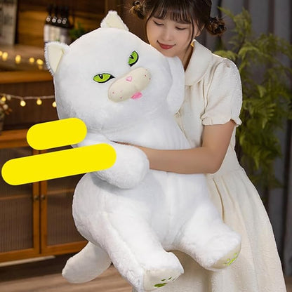 BowLift | Poe the Grumpy Cat Plushie