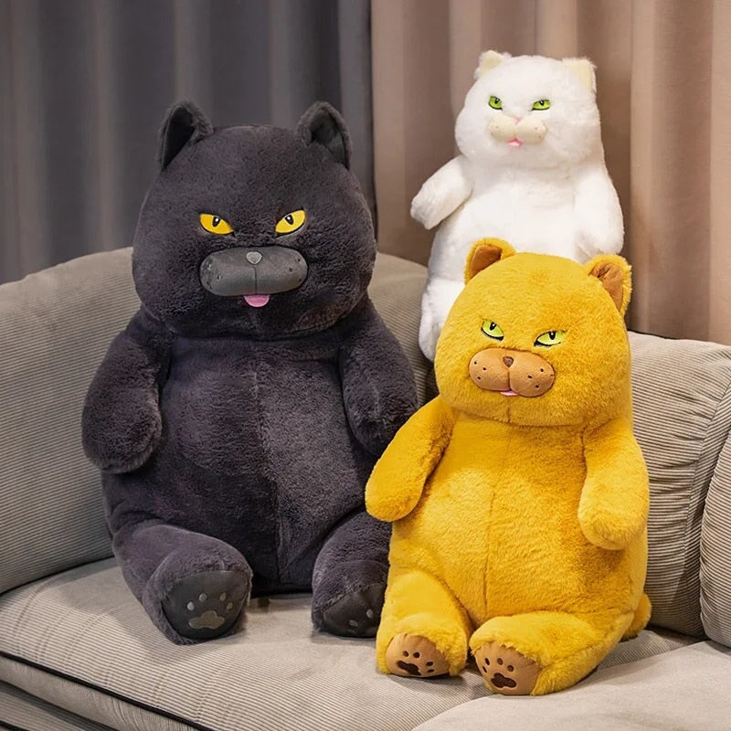 BowLift | Poe the Grumpy Cat Plushie