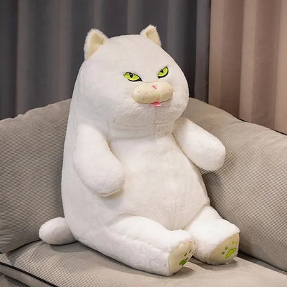 BowLift | Poe the Grumpy Cat Plushie