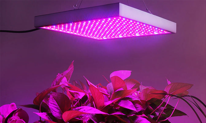 Skanto | Grow Light Lamp
