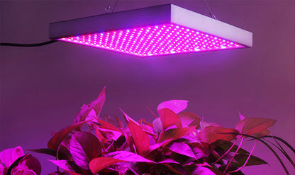Skanto | Grow Light Lamp
