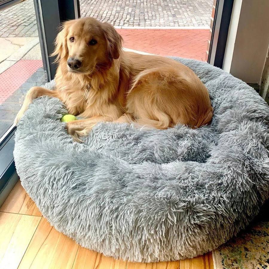 Skanto | Calming Dog Bed