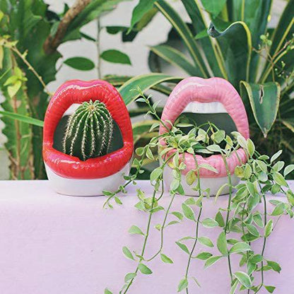 Skanto | Lip Flower Pot