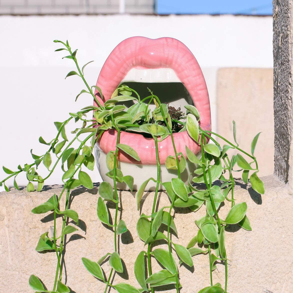 Skanto | Lip Flower Pot