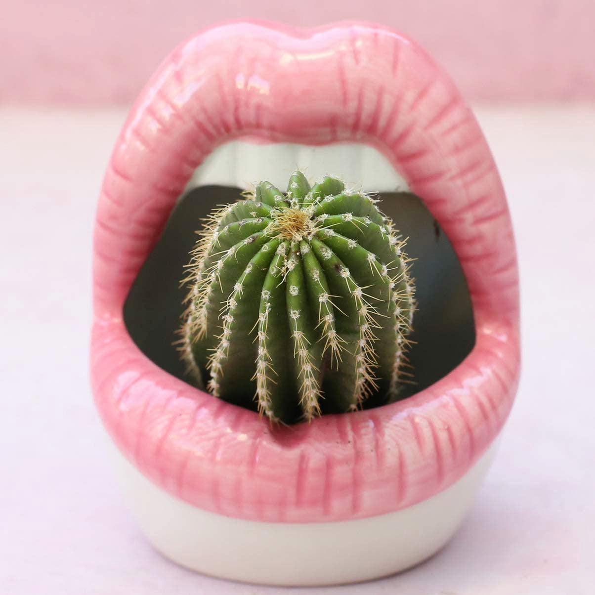 Skanto | Lip Flower Pot