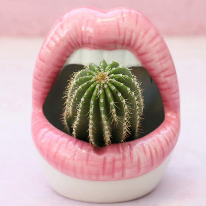 Skanto | Lip Flower Pot