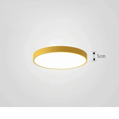 BowLift | Ceiling Light ChromaCraft