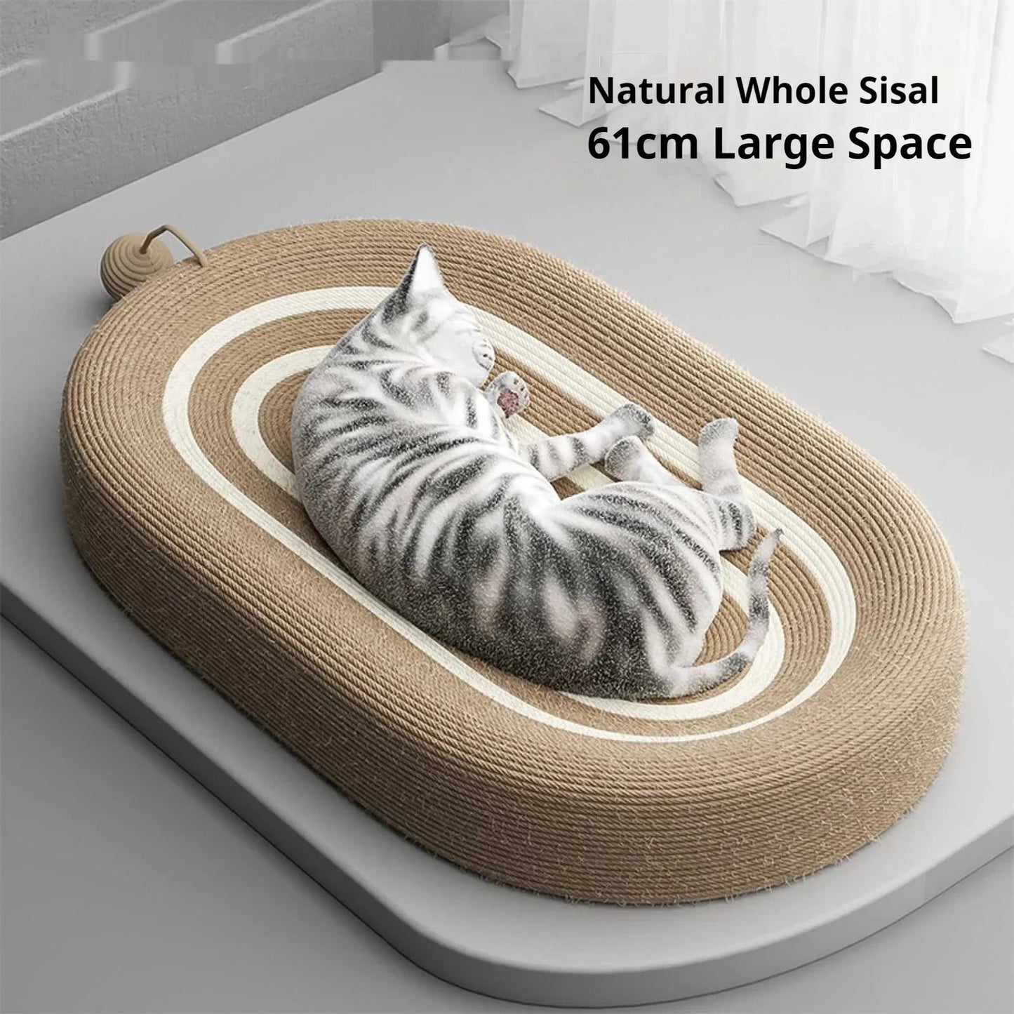 ScratchBoard Pro – Perfect Scratching Fun for Cats Bowlift