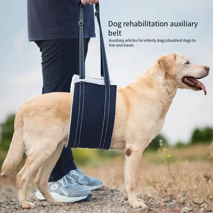 Dog support harness - Adjustable rehabilitation belt Bowlift