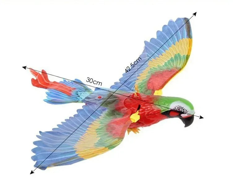 Eagle Flying Bird Cat Toy Kalsten