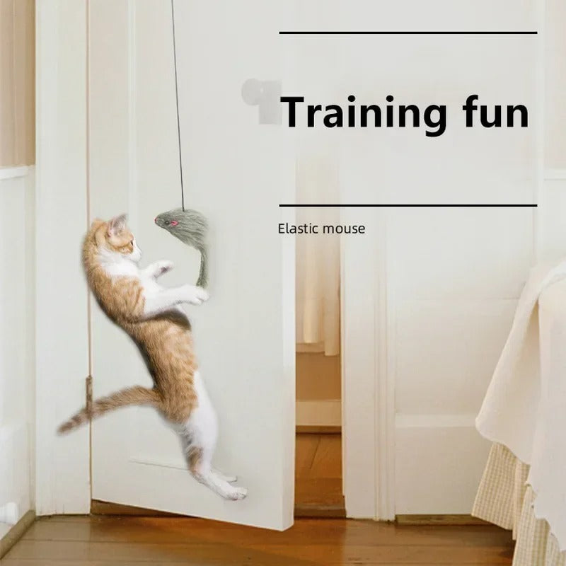 Self-Hanging Retractable Cat Toy Skanto