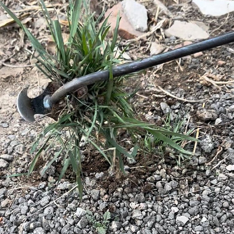 Skanto | WeedMaster™ - Your Ultimate Weeding Tool