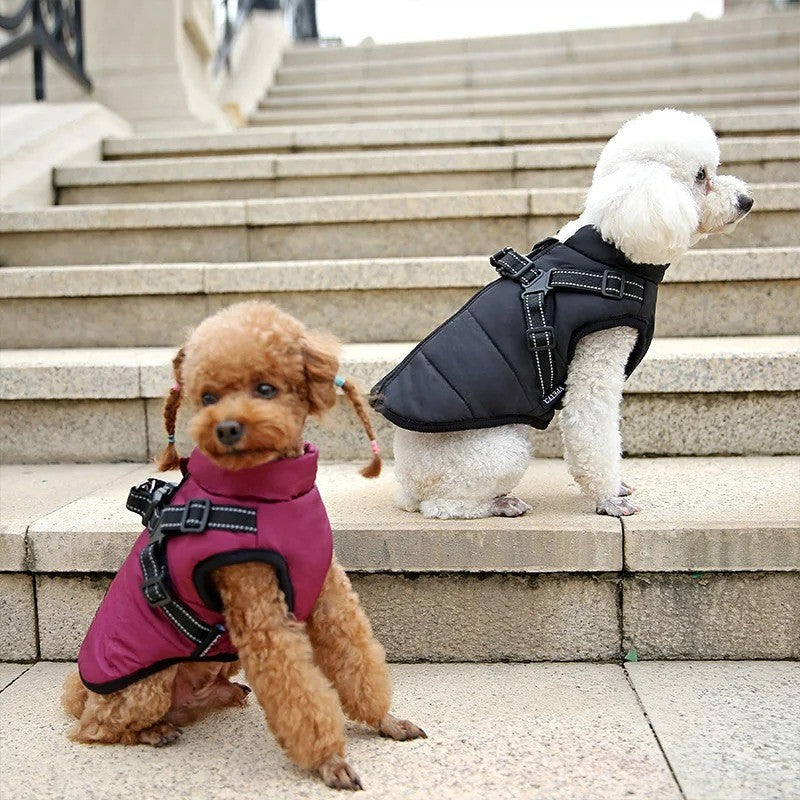 Skanto | All-Weather Insulated Dog Jacket with Built-in Harness