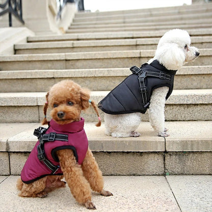 Skanto | All-Weather Insulated Dog Jacket with Built-in Harness