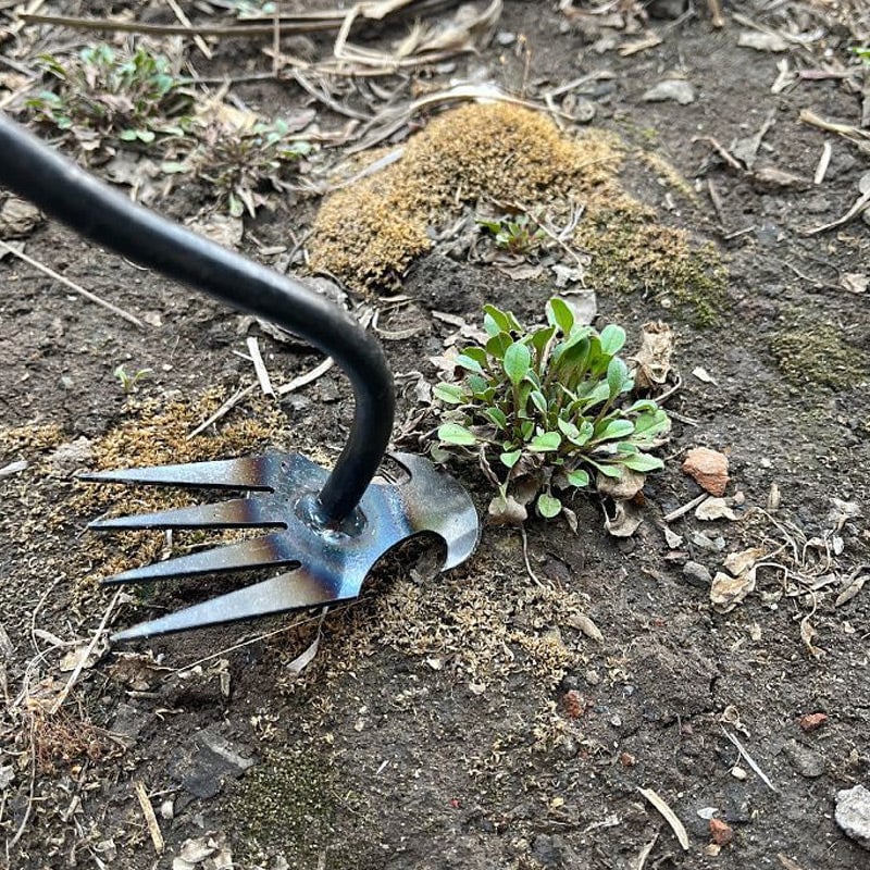 Skanto | WeedMaster™ - Your Ultimate Weeding Tool