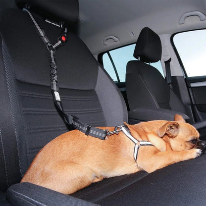Skanto Dog Car Seat Belt Skanto