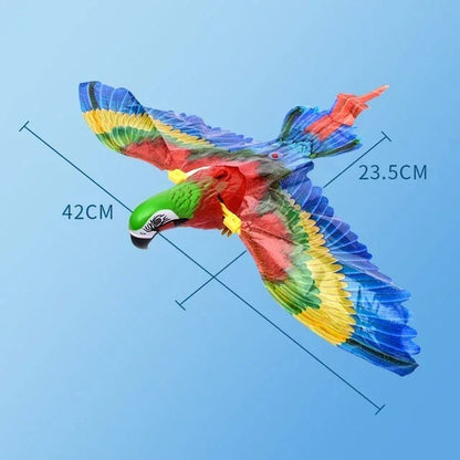 Eagle Flying Bird Cat Toy Kalsten