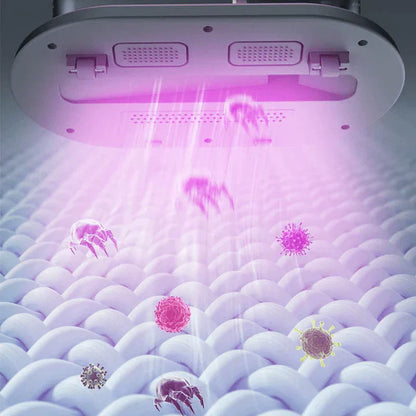 Skanto | Portable High-Frequency Vacuum for Mattresses and Upholstery