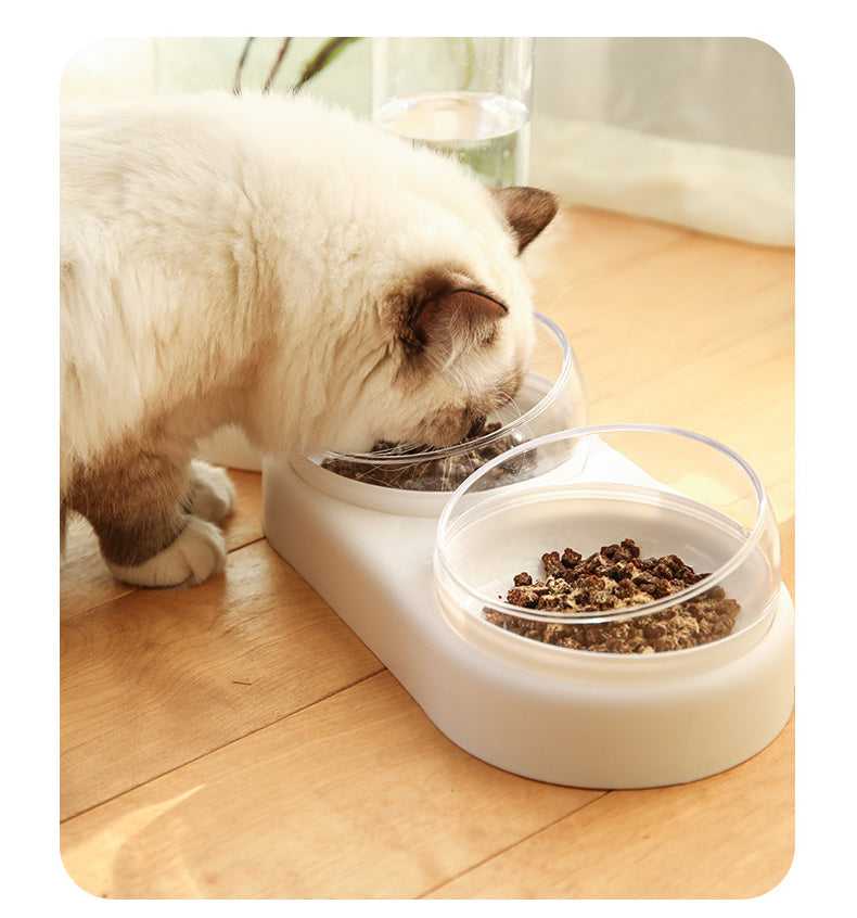 Skanto | Minimalist Twin-Bowl Cat Feeder