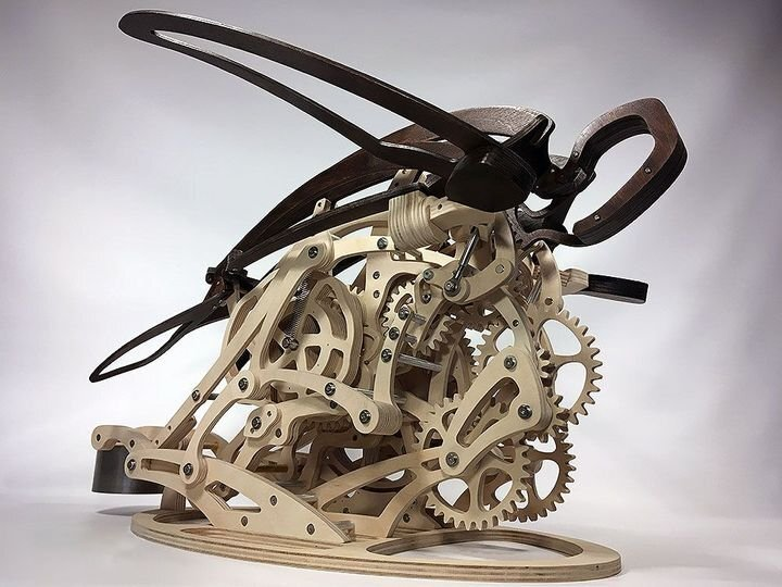 Skanto | 3D Wooden Mechanical Hummingbird and Wooden Mechanical Turtle