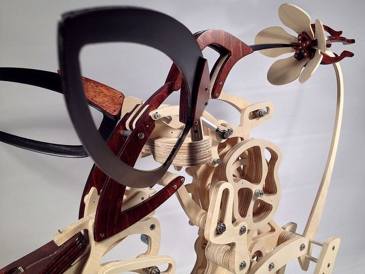 Skanto | 3D Wooden Mechanical Hummingbird and Wooden Mechanical Turtle